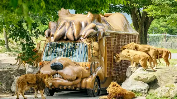 Fukuoka 1-day tour to Kyushu Wildlife Park African Safari, Mount Yufu, Yufuin & Umi Jigoku