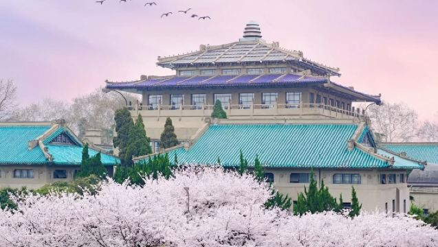 Lawatan Sehari Muzium Wilayah Hubei + Bunga Sakura Universiti Wuhan + Menara Bangau Kuning + Pantai Sungai Hankou @ Pakej Persendirian + Tiket Masuk