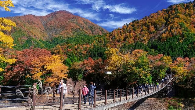 Shirakawa-go Day Tour