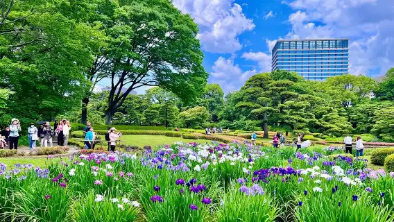 東京皇居東御苑私人導覽遊 探索日本皇室的歷史與自然之美