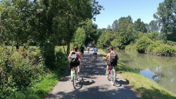 Marais Poitevin: Paseo en bicicleta por la Venecia Verde