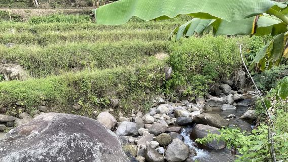 Selogriyo Temple Rice Terraces Private Tour with Local Lunch