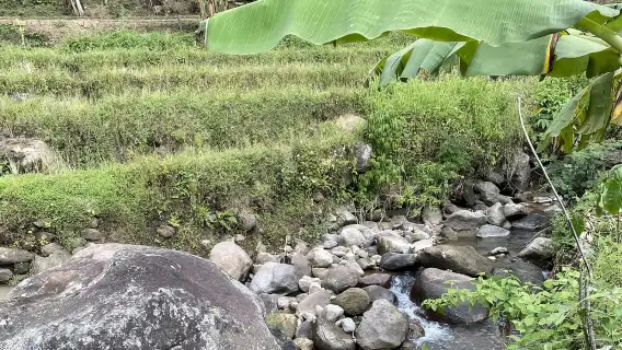 Borobudur & Selogriyo Rice Terraces Private Tour with Lunch