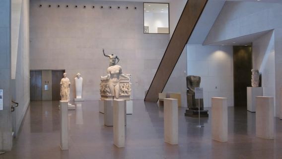 Biglietto d'ingresso al Museum of Fine Arts di Houston