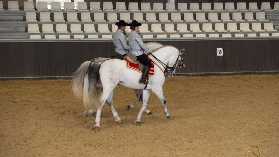Seville: Horse's Show Entry Ticket. Optional Stud Farm Visit