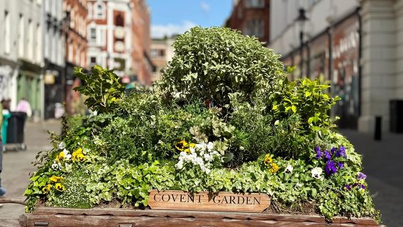Secrets of London Covent Garden & Rules Restaurant Tour