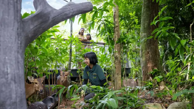 新加坡:熱帶雨林野生亞洲門票