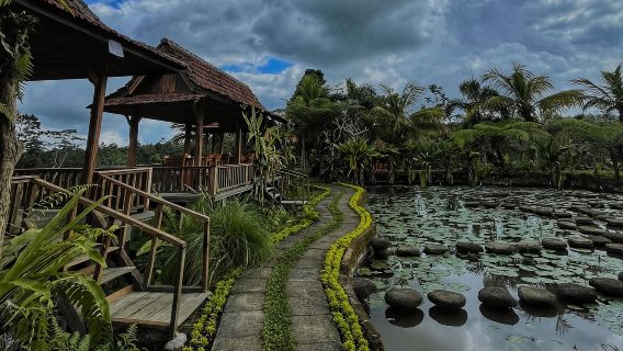 Bali Nature Wonders: Ubud Monkey Forest and Firefly Night - Full-Day Tour