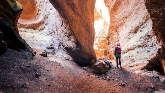 Half-day guided canyoning adventure in Tenerife