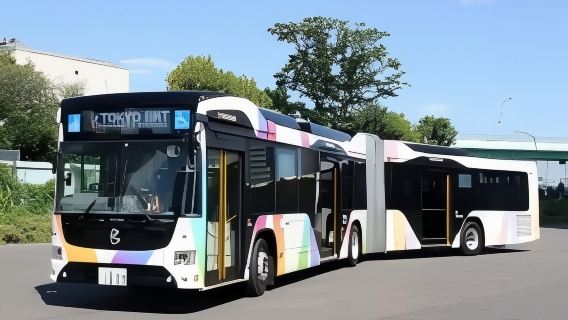 Токио BRT однодневный проездной билет