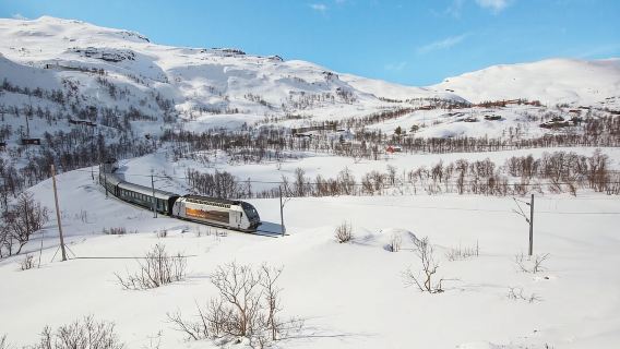 Bergen: Viking Village, Nærøyfjord Cruise & Flåm Railway