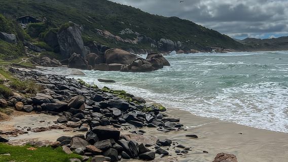 Florianopolis: Gravata Beach Trail with Local Guide