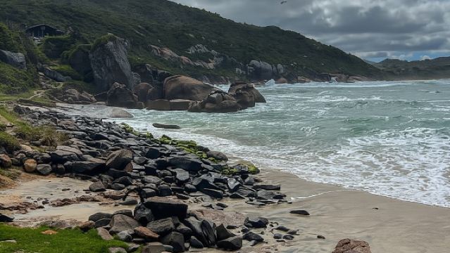 Florianopolis: Gravata Beach Trail with Local Guide