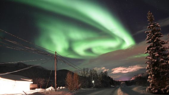 挪威純玩塞尼亞島/羅弗敦群島/極光2-8人小團中文司機拼車遊