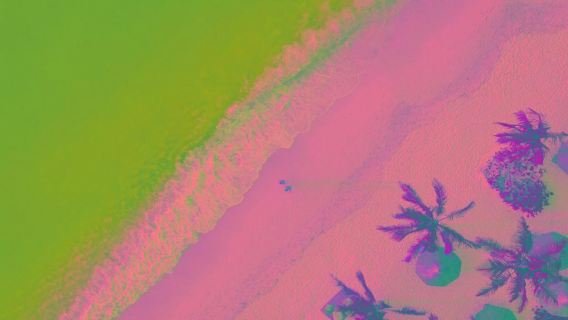 Pungume Sandbank with BBQ Lunch – Half-Day Tour