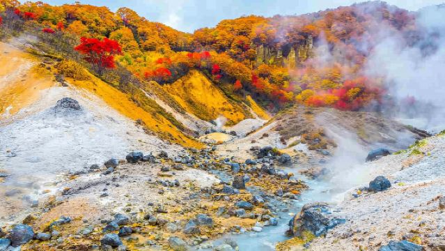 Sapporo, Hokkaido, Japan - Noboribetsu Jigokudani (Hell Valley) + Bear Ranch + Lake Toya | Private Car Tour