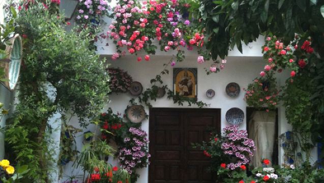Courtyards and Fragances of Cordoba - Guided Tour