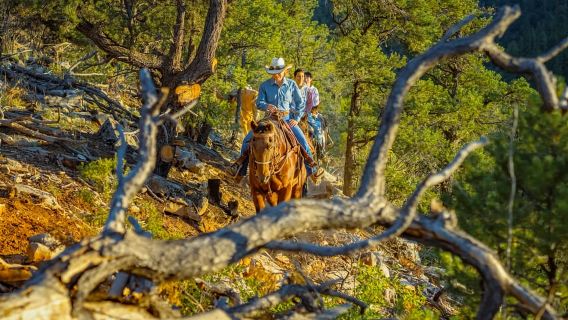 Orderville: Checkerboard Evening Shadow Horseback Ride