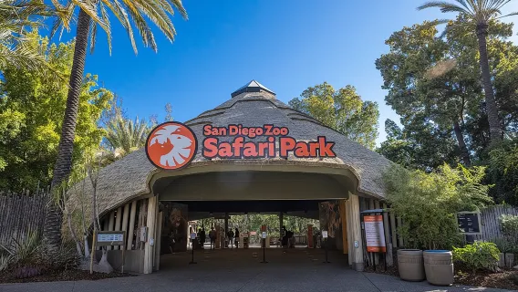 San Diego Zoo Safari Park 1-Day Pass: Any Day Ticket