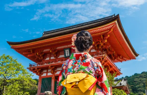 大阪市区包车游|中英文司机/10小时超长服务/自由定制路线