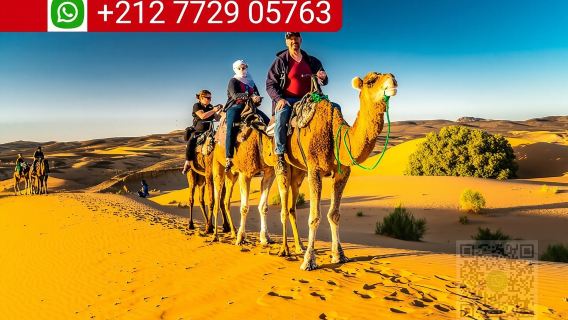 Paseo en camello por Merzouga y campamentos nocturnos en el desierto