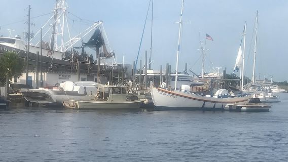 Wandeling langs Sponge Dock