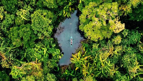 Mirror Lake Krabi kayaking 2–5 hrs [Kayaking|Mirror Lake swimming|ATV|Elephant rides