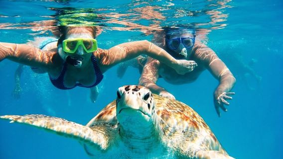 Barbados Glass Bottom Boat Cruise and Snorkeling