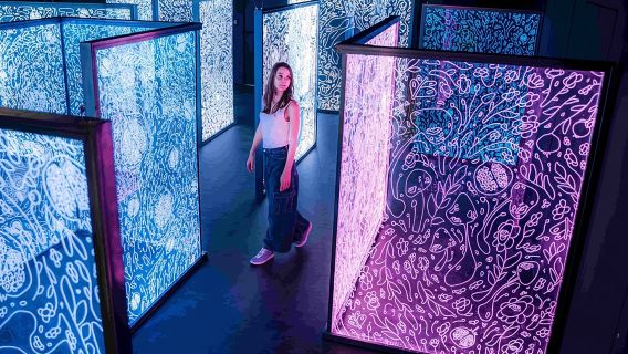 IKONO Budapest – Ein immersives Erlebnis