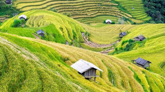 Departs from Hanoi | Sapa Easy Trekking 2 Days and 1 night - Group Tour