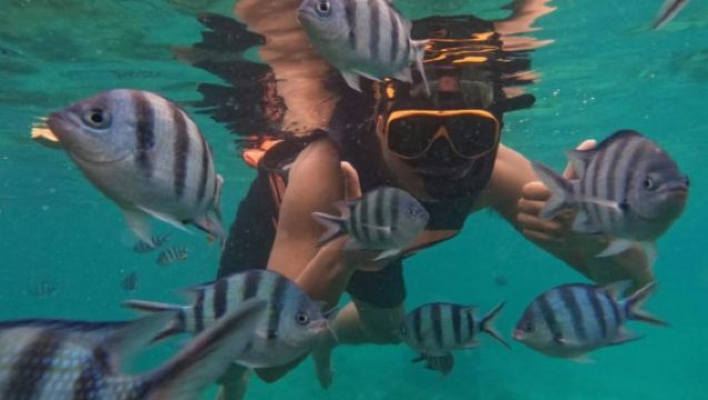 Dagstur till Koh Samet i Thailand [Havsaktiviteter | Hämtning i Pattaya & Koh Samet möjlig]