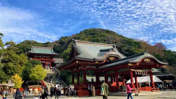鶴岡八幡宮+鎌倉小町通+長谷寺+鎌倉大佛+江之島一日遊