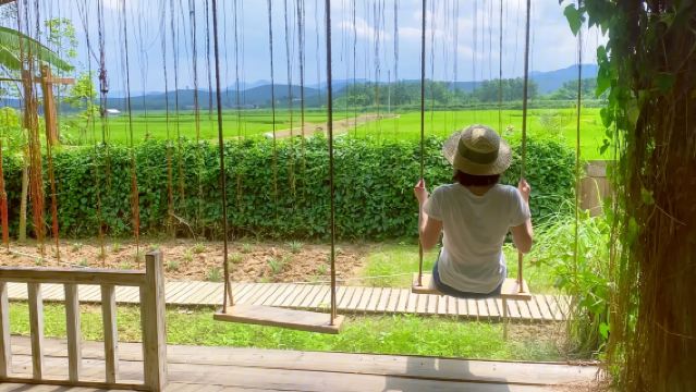 雲南中科院西雙版納熱帶植物園+曼遠村一日遊-獨立用車