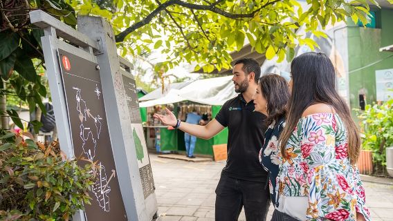 Tour por Medellín: Vehículos temáticos, paseo en tranvía y Metrocable