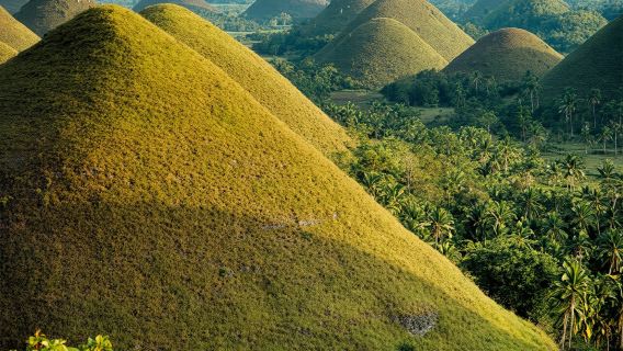 From Bohol & Panglao Island: Full-Day Bohol Tour