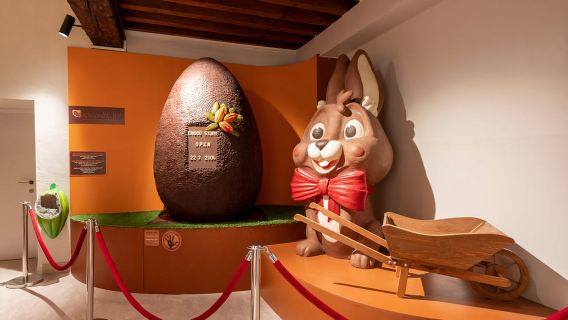 Brujas: Museo Choco-Story con audioguía y degustaciones