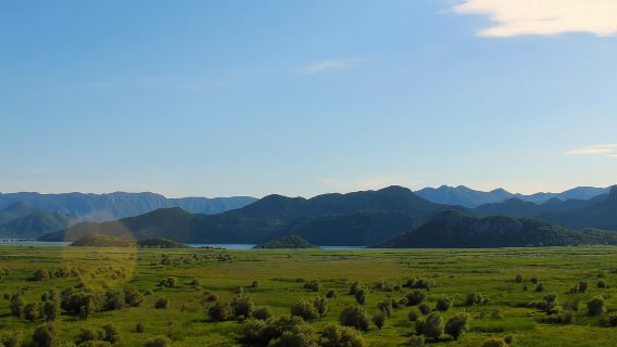 Lake Skadar: Guided Panoramic Boat Tour to Kom Monastery