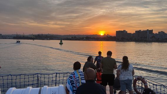 Дурбан: 1-часовой круиз на лодке от пристани Уилсона