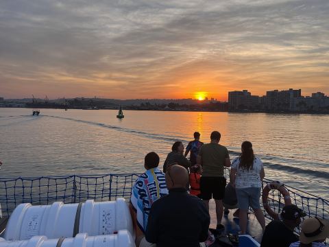 Durban: Pelayaran Perahu 1 Jam dari Wilson's Wharf