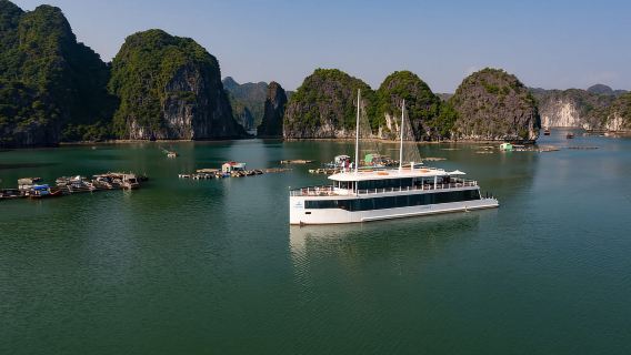 Da Hanoi o Halong: crociera di un giorno nella baia di Halong