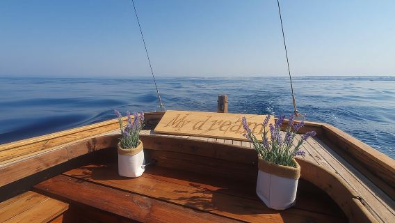 Punti salienti di Zara - Breve tour alla scoperta di Zara