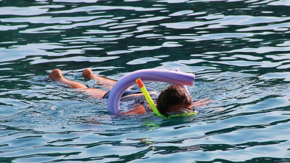 Snorkel en Miami para principiantes desde Bayside Market Place