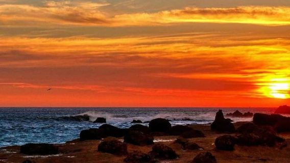 Paracas: Sonnenuntergangs-Trekking im Paracas-Nationalreservat