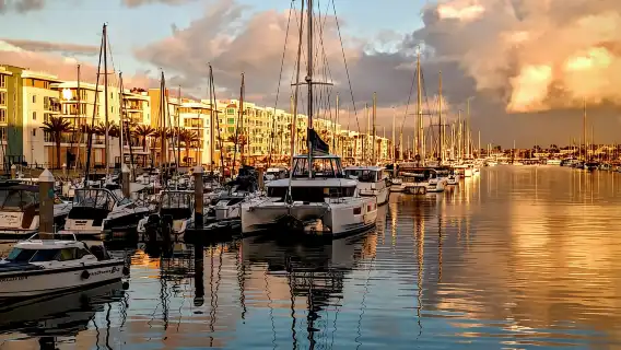 Marina del Rey: Boat Cruise with Wine, Charcuterie and Music