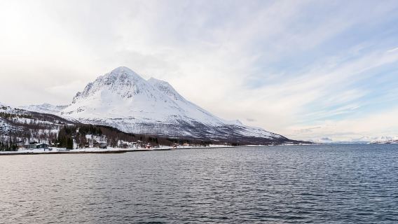 Tromsøs bestbewertete Fjord- und Angelkreuzfahrt – Mittagessen inklusive