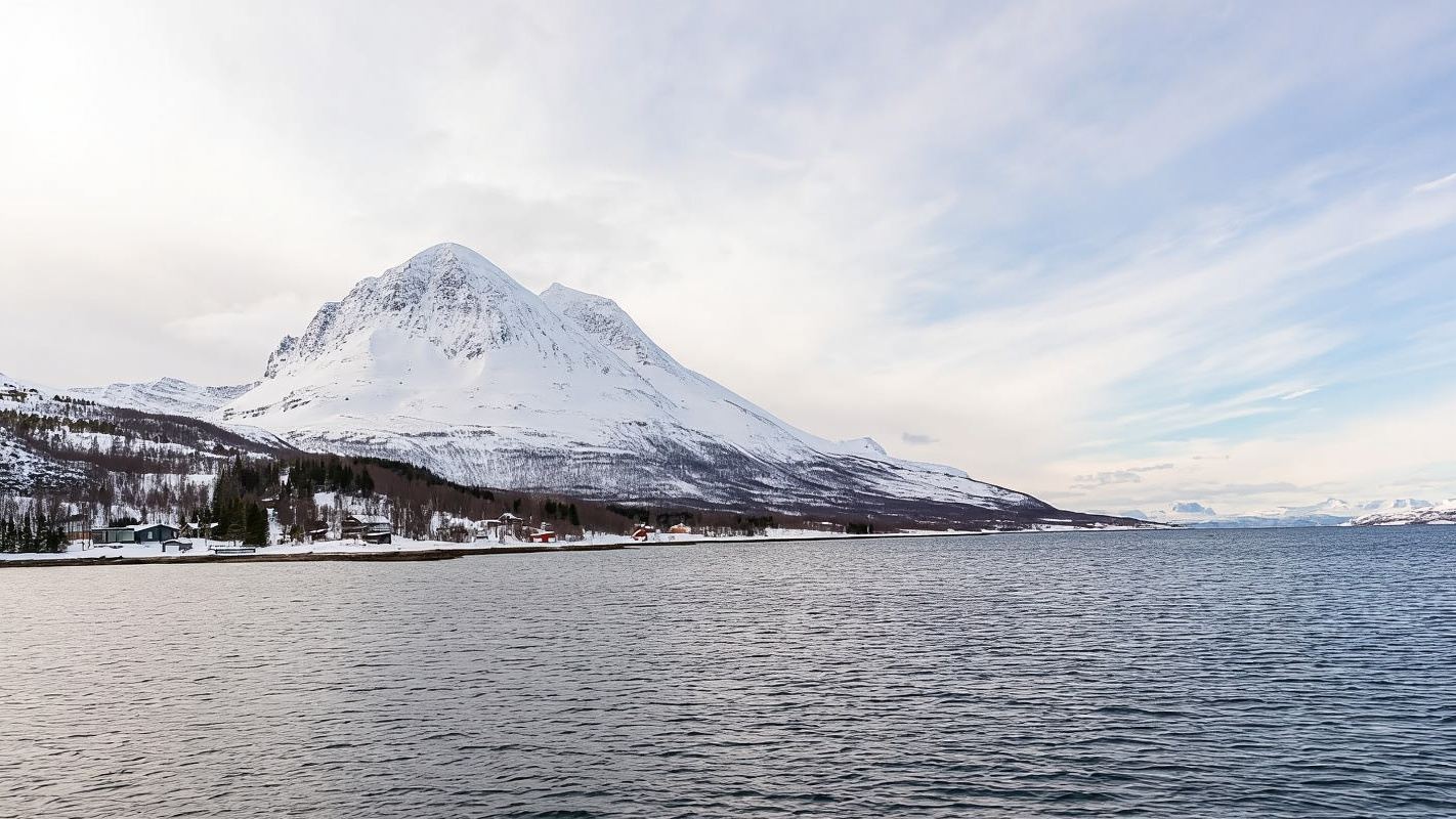Tromsø’s Top-Rated Fjord & Fishing Cruise – Lunch included