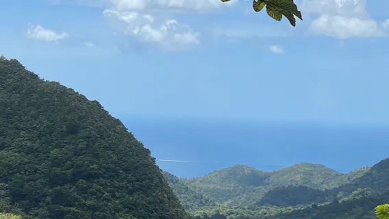 Yarım Günlük Grenada Seven Sisters, Grand Etang Doğa Merkezi Yürüyüş Turu