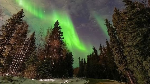 Excursión de un día al Graehl Park en Fairbanks, Alaska, Estados Unidos