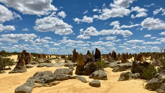 水族館+希爾里斯港+Lancelin Sand Dunes+尖峯石陣+南邦國家公園※
