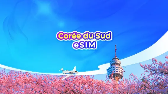 Carte SIM 5G eSIM Corée du Sud | ChatGPT disponibles | Forfait journalier/Forfait total de données | Facturation 24h/24 | Code QR